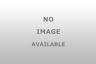 E-150-250-350 88022 Weather Guard Van Hinged Rear Door Window Screen 783965002592