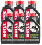 Motul Snowpower 6 Liters 2T Pre Mix Injection Stroke Motor Oils 1L. Fixed Price $58.95.