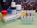 Moebius Watch Oils Kit: Bergeon Oiler, Dish, Repackaged 0.2ML. Fixed Price $74.95.